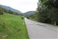 jašterica bystrá (5.7.2014)